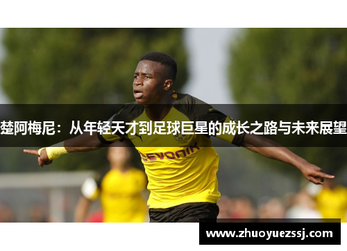 楚阿梅尼：从年轻天才到足球巨星的成长之路与未来展望