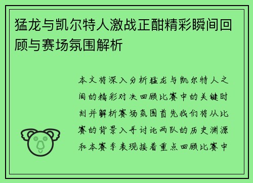 猛龙与凯尔特人激战正酣精彩瞬间回顾与赛场氛围解析